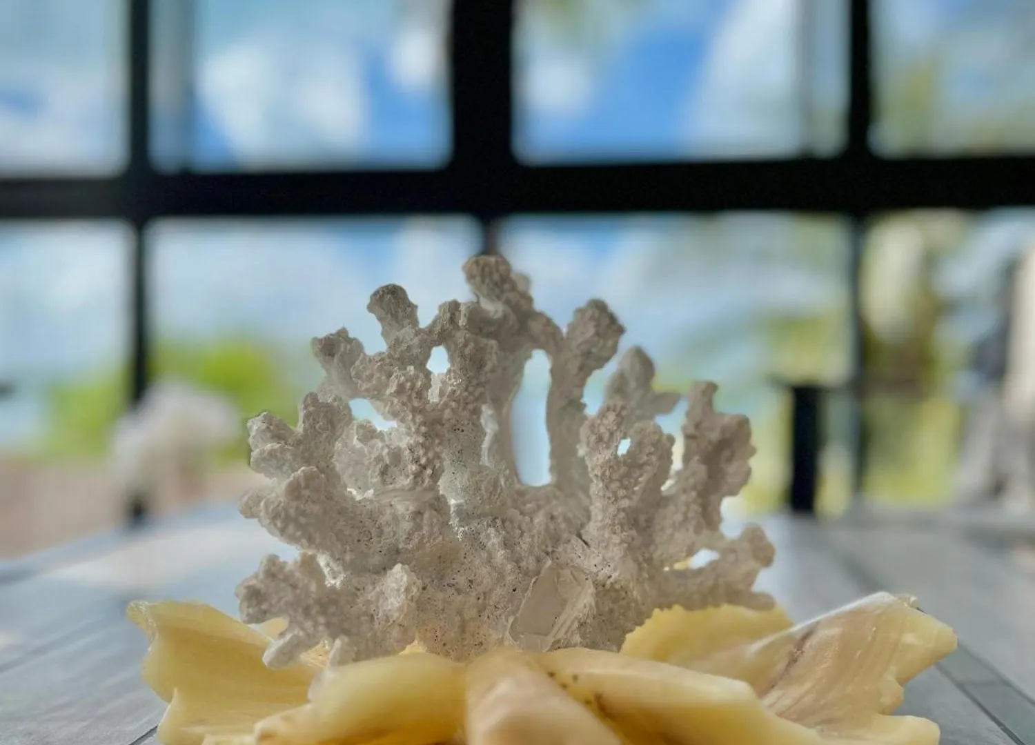 Bahia Tolok Aparthotel Isla Mujeres Μεξικό