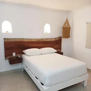 https://hotel-caracol-puerto.allrivieramayahotels.com