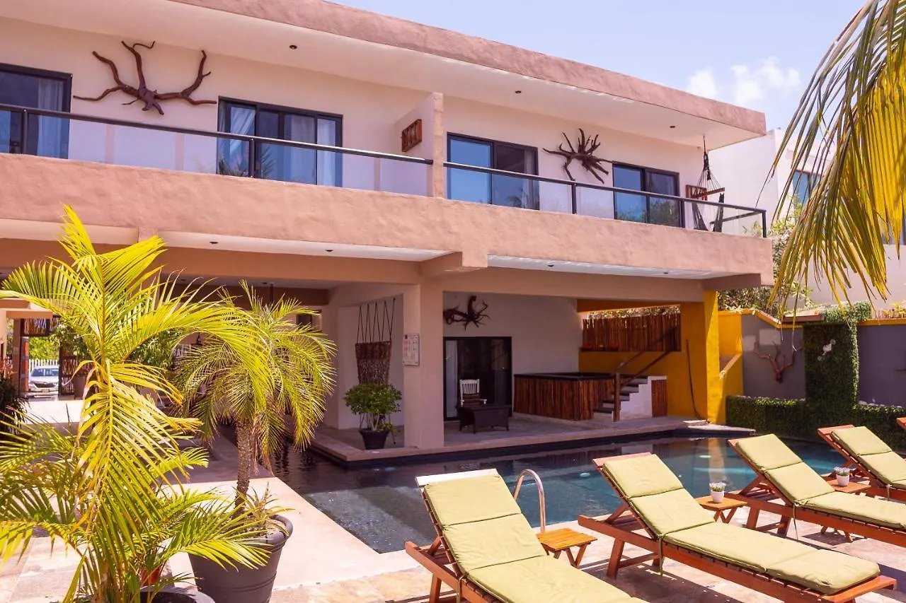 Bahia Tolok Aparthotel Ilha das Mulheres